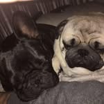 Karlin Jones - @joneskarlin - Instagram