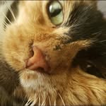 Karlin - @karlin.jones - Instagram