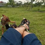 Carlos Lomeli - @karlomagno68 - Instagram