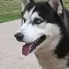karlosperez268 - @karlosperez268 - TikTok