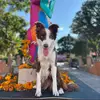 Karly Diaz - @karly.diaz29 - TikTok