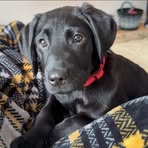 Karly Harrison - Facebook