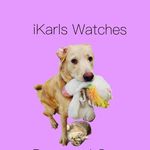 Karly Jensen - @ikarlswatchesdogsncats - Instagram