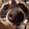 Karma :] - @karma__cooks - TikTok