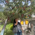 Karma Lhamo - @karma5795 - Instagram