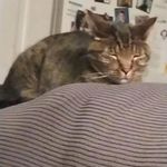karma miller - @karmamiller10 - Instagram