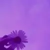 karmanormandeloss - @karmanormandeloss - TikTok