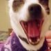 Karma Olson - Facebook