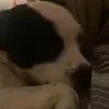 Kj - @karma.sparks - TikTok