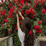 Karma Parmar Parmar - @karmaparmarparmar - Instagram