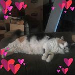 Karma Walker - @walker_karma - Instagram