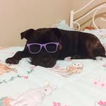Karmen Comerford - @karmencomerford - Instagram
