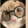 Carmen Leblanc - @carmen.leblanc1 - TikTok