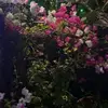 karmjit gill - @karmjitgill98 - TikTok