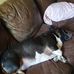 Karol Allen - Facebook