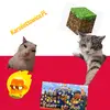 Karolletto12.PL - @harperevans.ie.karolleto - TikTok