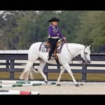 Carol Howell - @chowell52 - Instagram