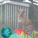 Carol MacDonald - Facebook
