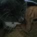 Carol Miller - Facebook