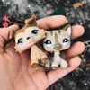 karol novas lps - @karolnovaslps109 - TikTok