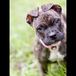 Carol Parks - @carol.parks - Instagram
