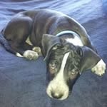 Karol Peake - @klpe4k3 - Instagram