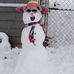 Carol Phillips - Facebook
