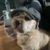 Carol Phillips - Facebook