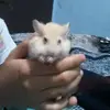 Karol Raya75 - @karolraya10 - TikTok