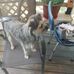 Carol Reed - Facebook