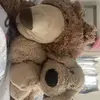 carol & riley - @butternutrandyjerypretzl - TikTok