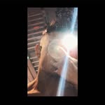 Karol Royel - @karolroyel - Instagram