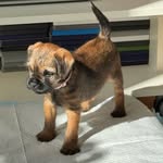 Carol Shaw - @carolswanshaw - Instagram