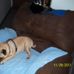 Karol Shaw - Facebook
