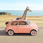 Karoline Simonetto - @karolsimonetto - Instagram