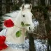 Carol Steele - @carol.steele8 - TikTok