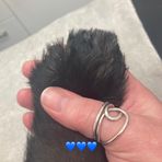 Karol Steele - Facebook