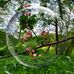 Karol Thomas - Facebook