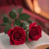 Karolfer Ubeda - @karolfer.ubeda - TikTok