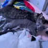 Carol Wagner - @carol.wagner - TikTok