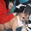 Carol ward - @carolward56 - TikTok