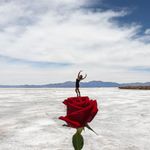 Carol Washington - @serenitygardensdesign - Instagram