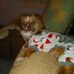 Karol Watson - Facebook
