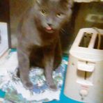 Karol Webb - Facebook