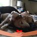 Carol West - Facebook