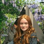 Carol Willis Y - Facebook