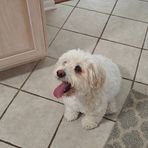 Carol Winters - Facebook