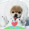 Carol Yang - @carol.yang81 - TikTok