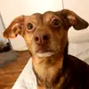 karolinawitkowska28 - @karowitka - TikTok
