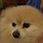 Karoline Johnson - @karoline.johnson.756 - Instagram